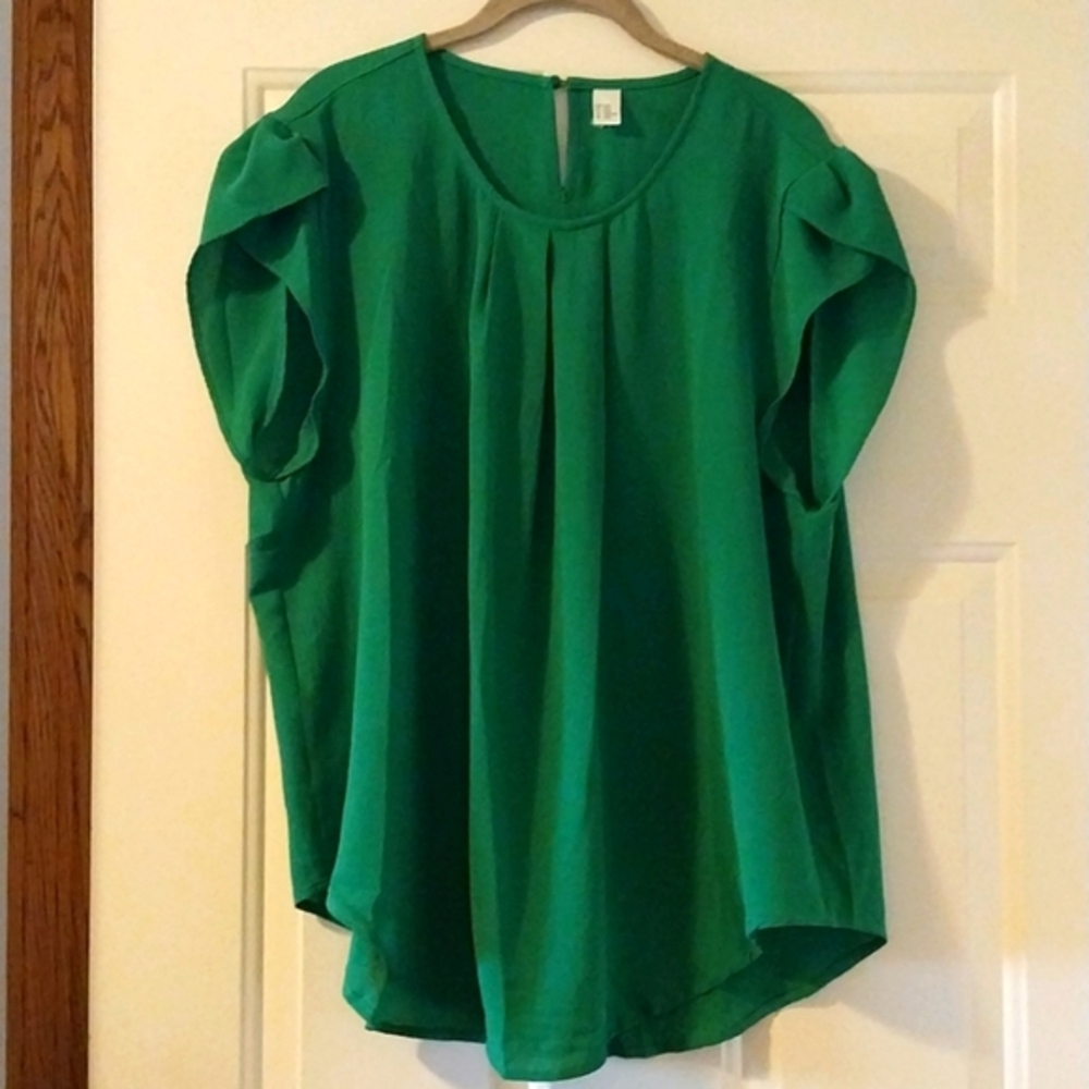 Milumia NWOT Women's Size 3X Green Petal Sleeve Blouse‎ Pleated Front Round Neck